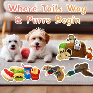 Pet Toy