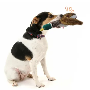 Realistic Duck Pet Toy Ideal for Dog's Interactive Play and Chewing
