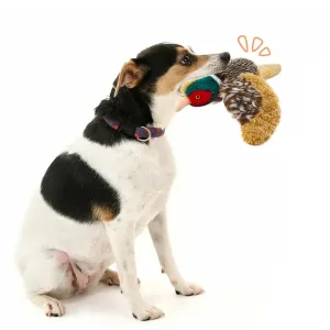 Realistic Simulated Pheasant Pet Toy Plush For Dogs Toy
