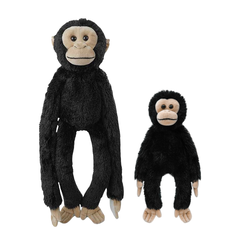 19_副本-1756449780