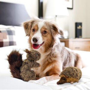 Pet Squeaker Squirrel & Hedgehog Toy
