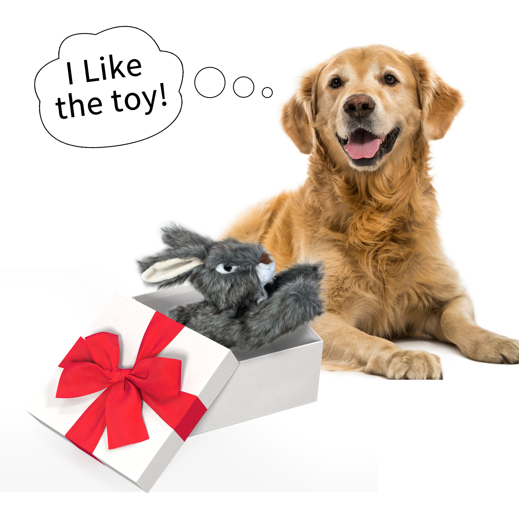 使用图1-1760083563