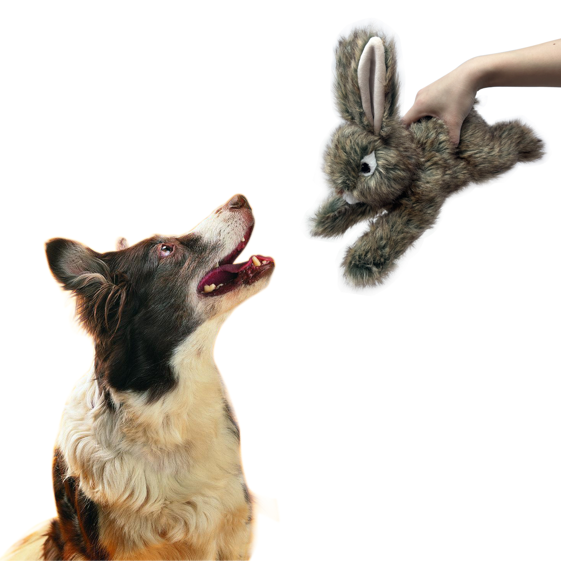 使用图4-1760083568