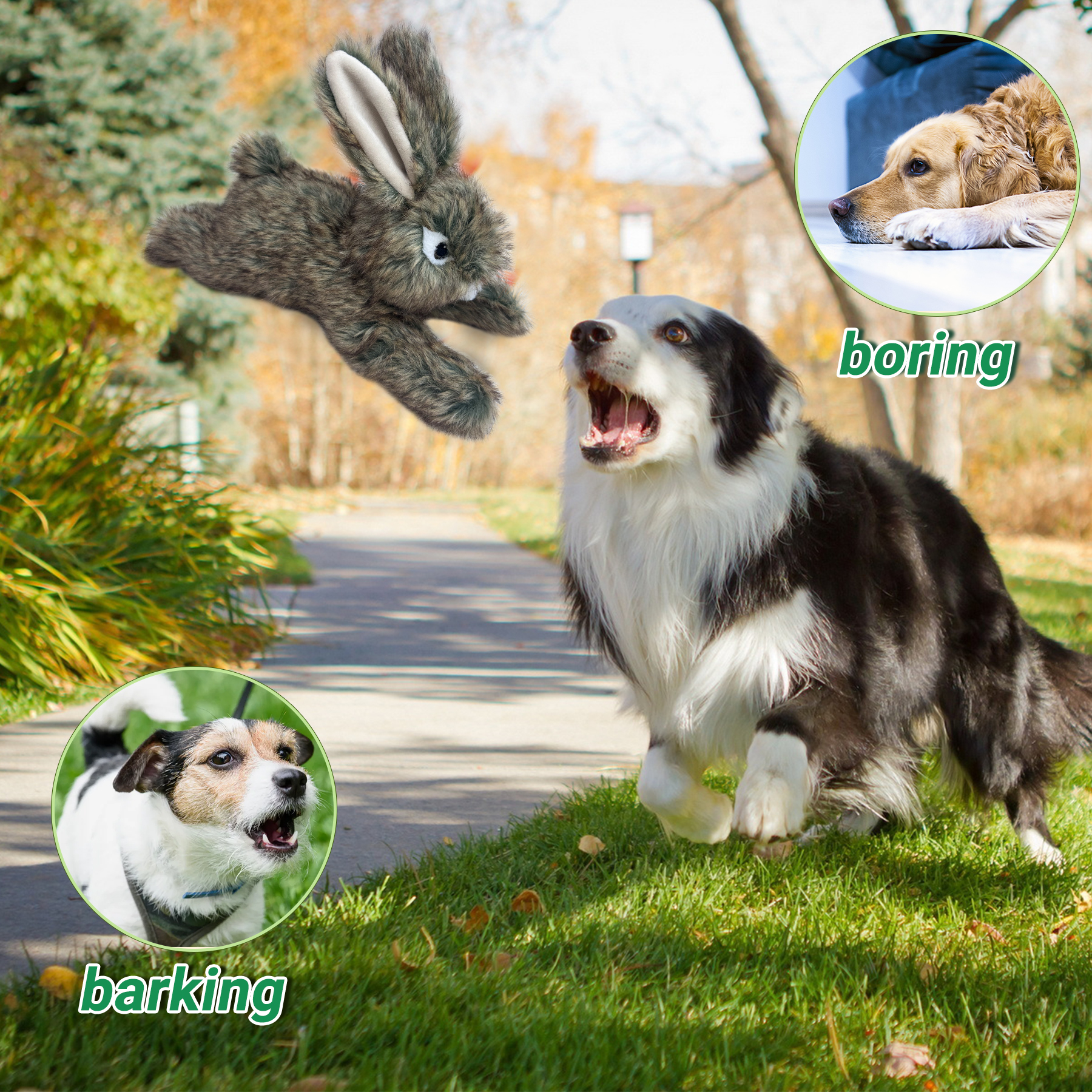 场景图2-1760083558